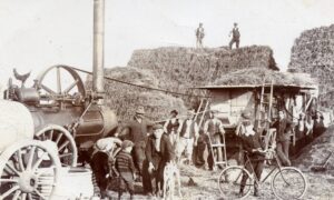 A Mithian farming scene circa 1900 with my wife’s grandfather holding the sack truck A Mithian farming scene circa 1900 with my wife’s grandfather holding the sack truck