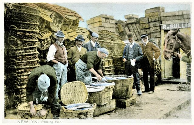 Fishing Out Of Newlyn - Fish Packing