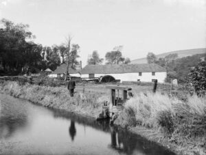 The Hammer Mill ponds at Roseworthy