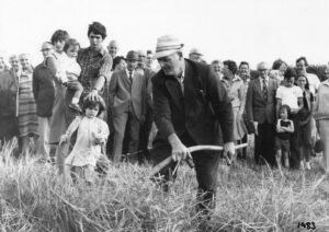 Mr Moon Snr Bolitho Farm 1983