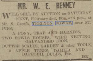 Auction advert for Mr S. Geen’s chattels. 1918 Auction advert for Mr S. Geen’s chattels. 1918