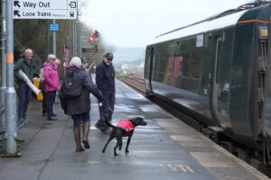 Liskeard OCS - St Pirans Day Truro 2020