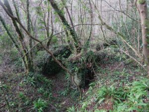 Lock No'21 Liskeard & Looe Canal - 2018