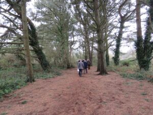 Old Cornwall Recorders Day 2017 - Wanders around Par