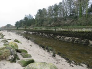 Old Cornwall Recorders Day 2017 - Wanders around Par