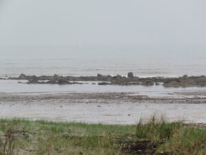 Old Cornwall Recorders Day 2017 - Wanders around Par