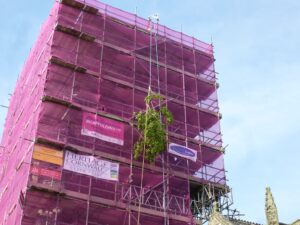 Liskeard OCS Attendance at St Neot Oak Apple Day