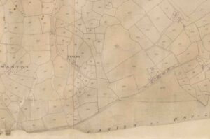 The 1841 Tithe map for what is now called Steeple Lane, but was Treloyan Downs The 1841 Tithe map for what is now called Steeple Lane, but was Treloyan Downs