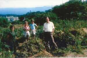 The bramble patch garden with Godrevy lighthouse in the distance The bramble patch garden with Godrevy lighthouse in the distance